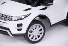 Aga Design Land Rover Art.348B