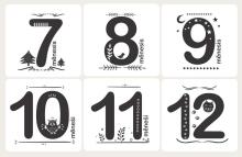 La bebe™ 12 Baby Monthly Cards Art. 44306, Perfect Gift for Newborn Photo Sessions