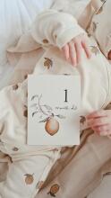 La bebe™ 12 Baby Monthly Cards Art. 44306, Perfect Gift for Newborn Photo Sessions