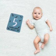 La bebe™ Baby Month Cards Art.44306 Kartītes zīdaiņu fotografēšanai pa mēnešiem līdz gadam +apsveikumu kartiņa