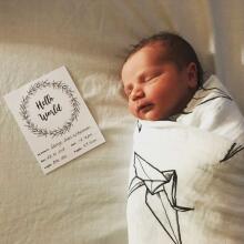 La bebe™ 12 Baby Monthly Cards Art. 44306, Perfect Gift for Newborn Photo Sessions