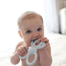 Dr.Browns TE021-INTL gum massager-teether