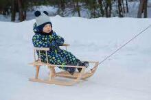 Wood Sledge  Art.55344