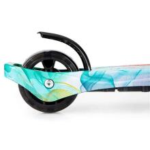 Eco Toys Scooter Art.BW-316 Green