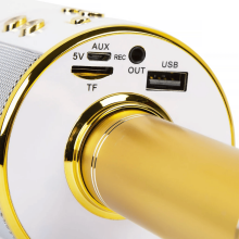 Baby Microfone Art.WS-858 Gold