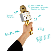Baby Microfone Art.WS-858 Gold Karaoke mikrofons - skaļrunis ar balss maiņas efektiem