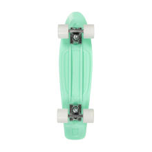 Playlife Penny Board Art.880319 Mint
