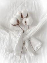 Bebe Basic Muslin Art. 051 Cotton muslin gauze swaddle 1 pc, 70x80 cm