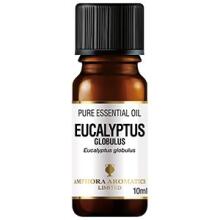 Eucalyptus Oil Art.91543