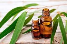 Eucalyptus Oil Art.91543