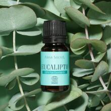 Eucalyptus Oil Art.91543