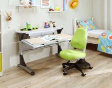 Comf Pro Harvard Desk Art.99123 School desk