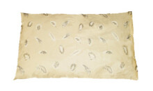 Buckwheat pillow 40 x 40 cm