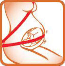 BeSafe'20 Pregnant Belt Izi Fix Art.10010123