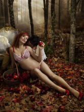 HOTmilk Art.6214
