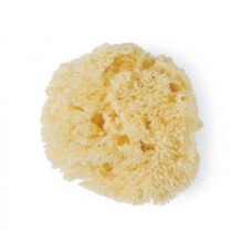 Suavinex Sponge Art.257282 Natural sea sponge