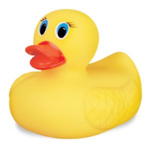 Safety bath Duck