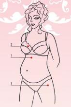 Bogema Lingerie Art.20446 Gzhel Nursing Bra