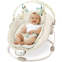 Bright Starts 01921 Comfort And Harmony Bouncer Features