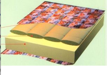 Danpol Art.31440 Matress cocnut with latex 120x60 sm