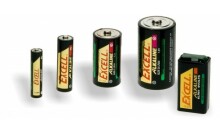 Excell alkaline, D/LR20, 2-pack 1.5 V батарейки для игрушек, каруселек, велосипедиков (2 шт.) 70550