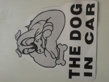 The dog in car Art.47669