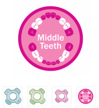 Munchkin 11480 Middle Teeth Teether Stage 2 green
