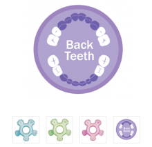 Munchkin Art. 011482 Back Teeth Teether Stage 3 Blue Зубогрызка - прорезыватель для задних зубов