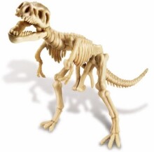 4M Kidz Labs Art.00-07002 Скелет Тиранозавр