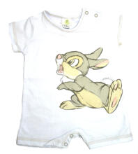 Disney Art.60002 body 1 gap.