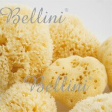 Bellini  Natural Sea Sponge Silk Fine №14  Губка натуральная морская детская