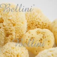 Bellini  Nat. Sea Sponge Honeycomb №12