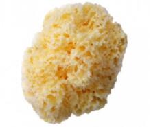 Bellini  Natural Sea Sponge Honeycomb №10