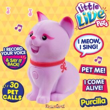 Little Live Pets Art.28152 Purrcilla Interaktīvais dzīvnieciņš