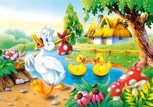 Castorland Art.005406 Baby puzzle - mini puzzle 3+