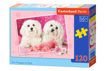 Castorland Art.012008 Classic Kids puzzle Bērnu puzle kastītē - 120 elementi