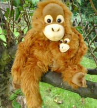 Uni Toys Art. M18411 Orangutan & baby Мягкая игрушка обезьяна с детёнышем Орангутанг