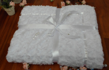 Omnia Art.56937 Детское одеялко - пледик + подушечка Розочки 100x70 + 25х35 cm (white) 
