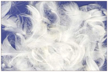 La Bebe™ Feather Art.85098 pardisuled lisatäide, 1kg