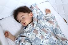 La Millou By Anna Mucha Art. 83930 Bamboo Wrap Me Up Blanket Owl Radio