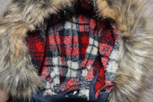 Lenne '17 Niles 16359/229 Boys jacket
