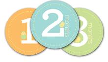 Pearhead Baby Milestone Stickers  Art.60032