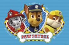 Arditex Paw Patrul Art.PW11271