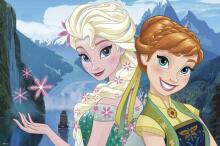 Arditex Frozen  Art.WD11267
