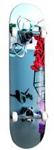 No Rules Penny Board King Art.AU563