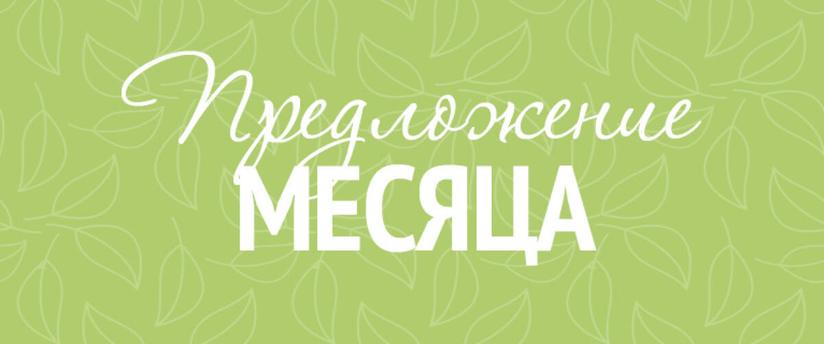 Предложение месяца