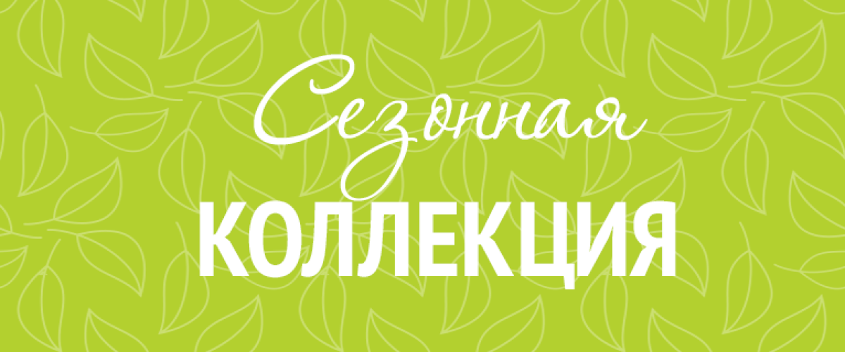Сезонное предложение